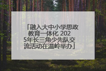 融入大中小学思政教育一体化 2025年长三角少先队交流活动在温岭举办
