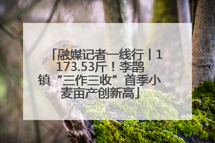 融媒记者一线行丨1173.53斤！李鹊镇“三作三收”首季小麦亩产创新高