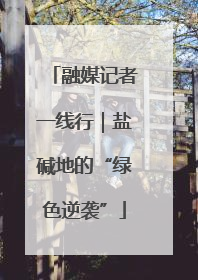 融媒记者一线行｜盐碱地的“绿色逆袭”