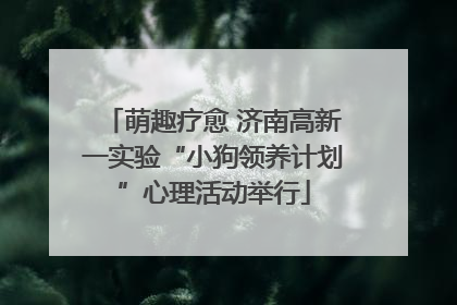 萌趣疗愈 济南高新一实验“小狗领养计划”心理活动举行
