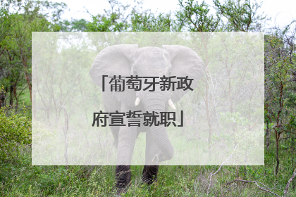 葡萄牙新政府宣誓就职