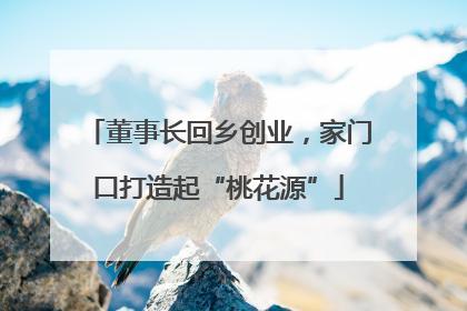 董事长回乡创业，家门口打造起“桃花源”
