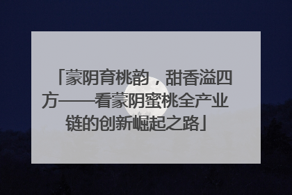 蒙阴育桃韵，甜香溢四方——看蒙阴蜜桃全产业链的创新崛起之路