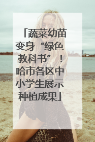 蔬菜幼苗变身“绿色教科书”！哈市各区中小学生展示种植成果