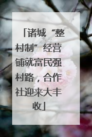 诸城“整村制”经营铺就富民强村路，合作社迎来大丰收