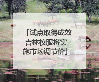 试点取得成效 吉林校服将实施市场调节价