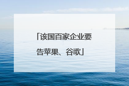 该国百家企业要告苹果、谷歌