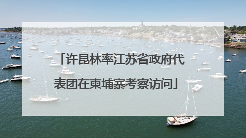 许昆林率江苏省政府代表团在柬埔寨考察访问
