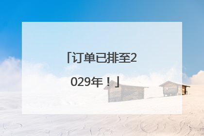 订单已排至2029年！