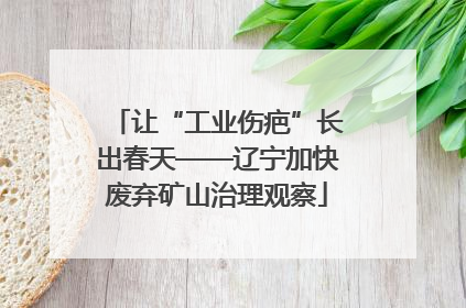 让“工业伤疤”长出春天——辽宁加快废弃矿山治理观察
