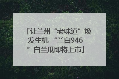 让兰州“老味道”焕发生机 “兰白946”白兰瓜即将上市