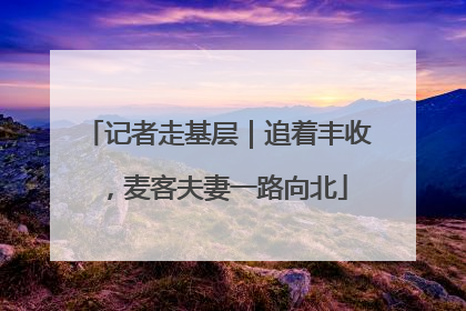记者走基层｜追着丰收，麦客夫妻一路向北