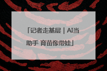 记者走基层｜AI当助手 育苗像带娃
