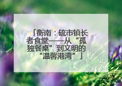 衡南：硫市镇长者食堂——从“孤独餐桌”到文明的“温馨港湾”