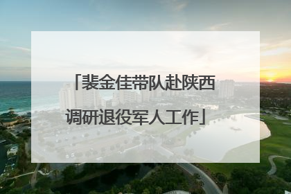 裴金佳带队赴陕西调研退役军人工作