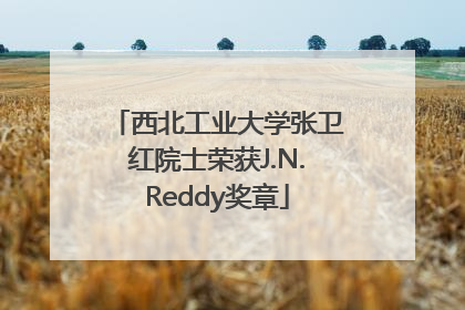 西北工业大学张卫红院士荣获J.N.Reddy奖章