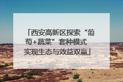西安高新区探索“葡萄+蔬菜”套种模式 实现生态与效益双赢