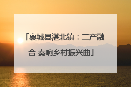 襄城县湛北镇：三产融合 奏响乡村振兴曲