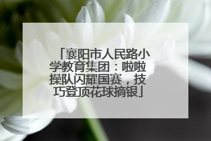襄阳市人民路小学教育集团：啦啦操队闪耀国赛，技巧登顶花球摘银