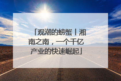 观潮的螃蟹丨湘南之南，一个千亿产业的快速崛起