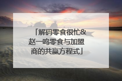 解码零食很忙&赵一鸣零食与加盟商的共赢方程式
