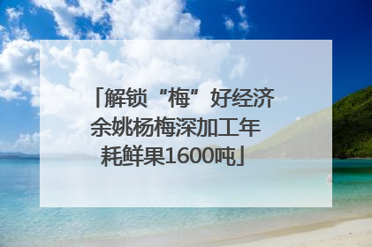 解锁“梅”好经济 余姚杨梅深加工年耗鲜果1600吨