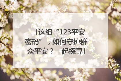 这组“123平安密码”，如何守护群众平安？一起探寻