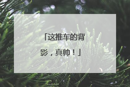 这推车的背影，真帅！