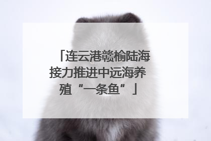 连云港赣榆陆海接力推进中远海养殖“一条鱼”