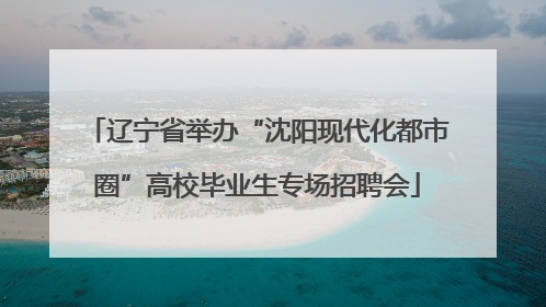 辽宁省举办“沈阳现代化都市圈”高校毕业生专场招聘会