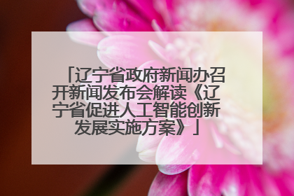 辽宁省政府新闻办召开新闻发布会解读《辽宁省促进人工智能创新发展实施方案》