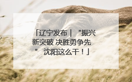 辽宁发布｜“振兴新突破 决胜勇争先” 沈阳这么干！