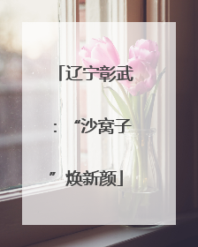 辽宁彰武：“沙窝子”焕新颜
