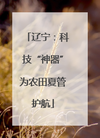 辽宁：科技“神器”为农田夏管护航