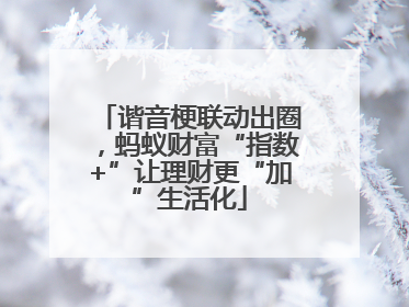 谐音梗联动出圈，蚂蚁财富“指数+”让理财更“加”生活化