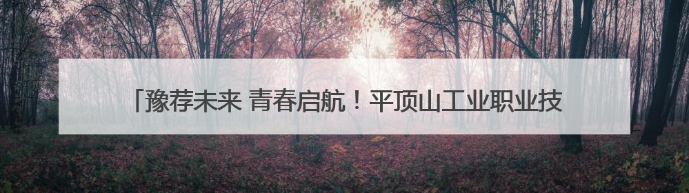 豫荐未来 青春启航！平顶山工业职业技术学院举办2025届毕业生夏季招聘会