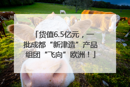 货值6.5亿元，一批成都“新津造”产品组团“飞向”欧洲！