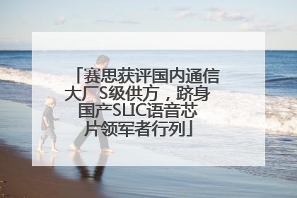 赛思获评国内通信大厂S级供方，跻身国产SLIC语音芯片领军者行列
