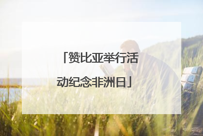 赞比亚举行活动纪念非洲日