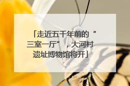 走近五千年前的“三室一厅”，大河村遗址博物馆将开