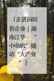 走进园区看企业｜湖南江华：“小电机”撬动“大产业”