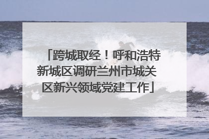 跨城取经！呼和浩特新城区调研兰州市城关区新兴领域党建工作