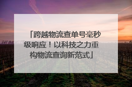 跨越物流查单号毫秒级响应！以科技之力重构物流查询新范式