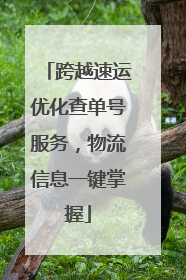跨越速运优化查单号服务，物流信息一键掌握