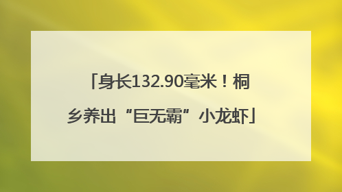 身长132.90毫米！桐乡养出“巨无霸”小龙虾