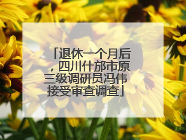 退休一个月后，四川什邡市原三级调研员冯伟接受审查调查