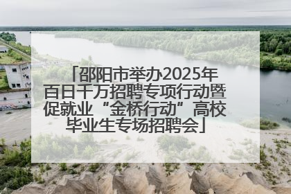 邵阳市举办2025年百日千万招聘专项行动暨促就业“金桥行动”高校毕业生专场招聘会