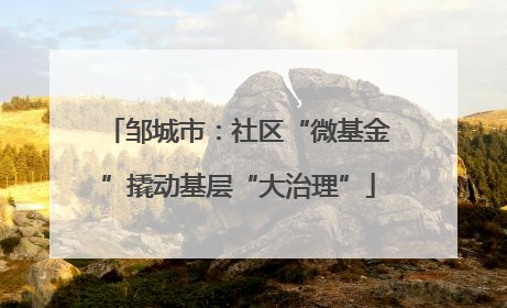 邹城市：社区“微基金”撬动基层“大治理”