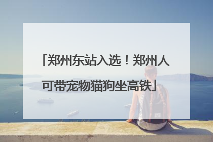 郑州东站入选！郑州人可带宠物猫狗坐高铁