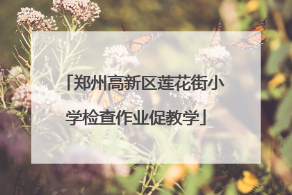 郑州高新区莲花街小学检查作业促教学